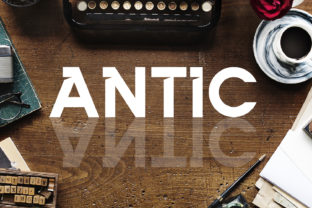 Antic: A Bold Sans Serif Font for Standout Campaigns