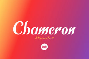 Chameron: A Bold Serif Font for Editorial Design and Branding