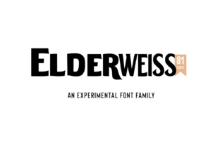 Elderweiss: A Bold Sans Serif for Dynamic Branding