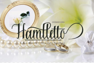 Hamlletto: The Script Font That Elevates Brand Design